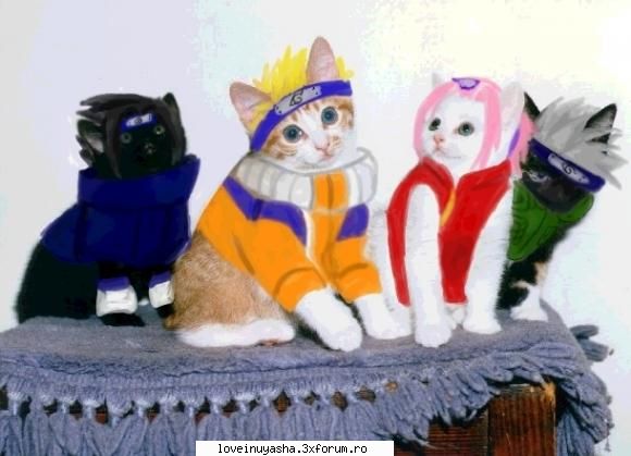 poze animalele noastre sau alte animale asta  e  tare