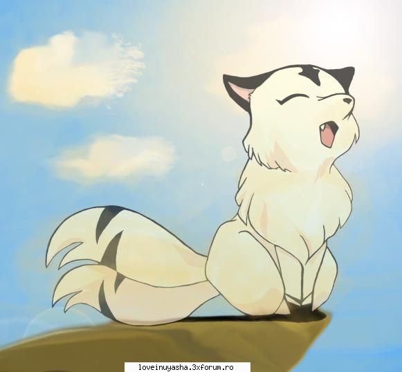 poze kirara miau jungla