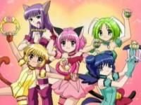 galerie - miau miau power - |Mew Mew Power|