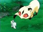 poze ci kirara - o ador pe kirara - |Kirara|