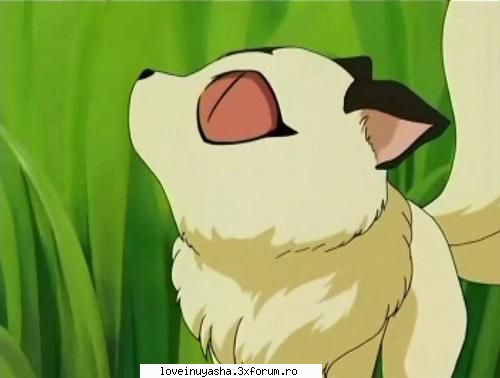 poze ci kirara - UcHiHa_AyAmE - |Kirara|