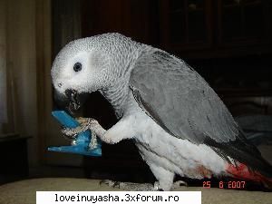 poze cu animalele noastre sau alte animale - uchiha_sweetkiss - |Cafenea|